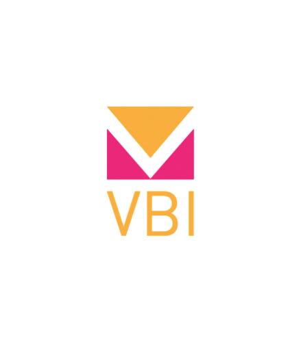 digital-агентство VBI 