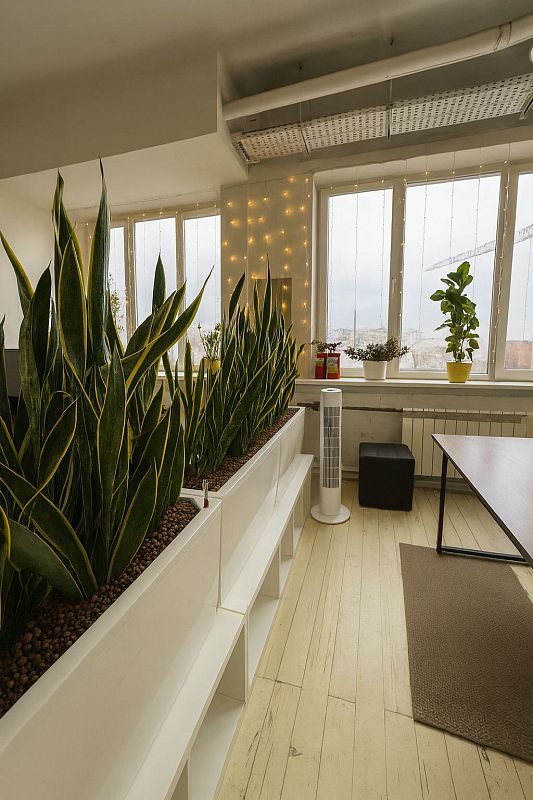 Уютный офис